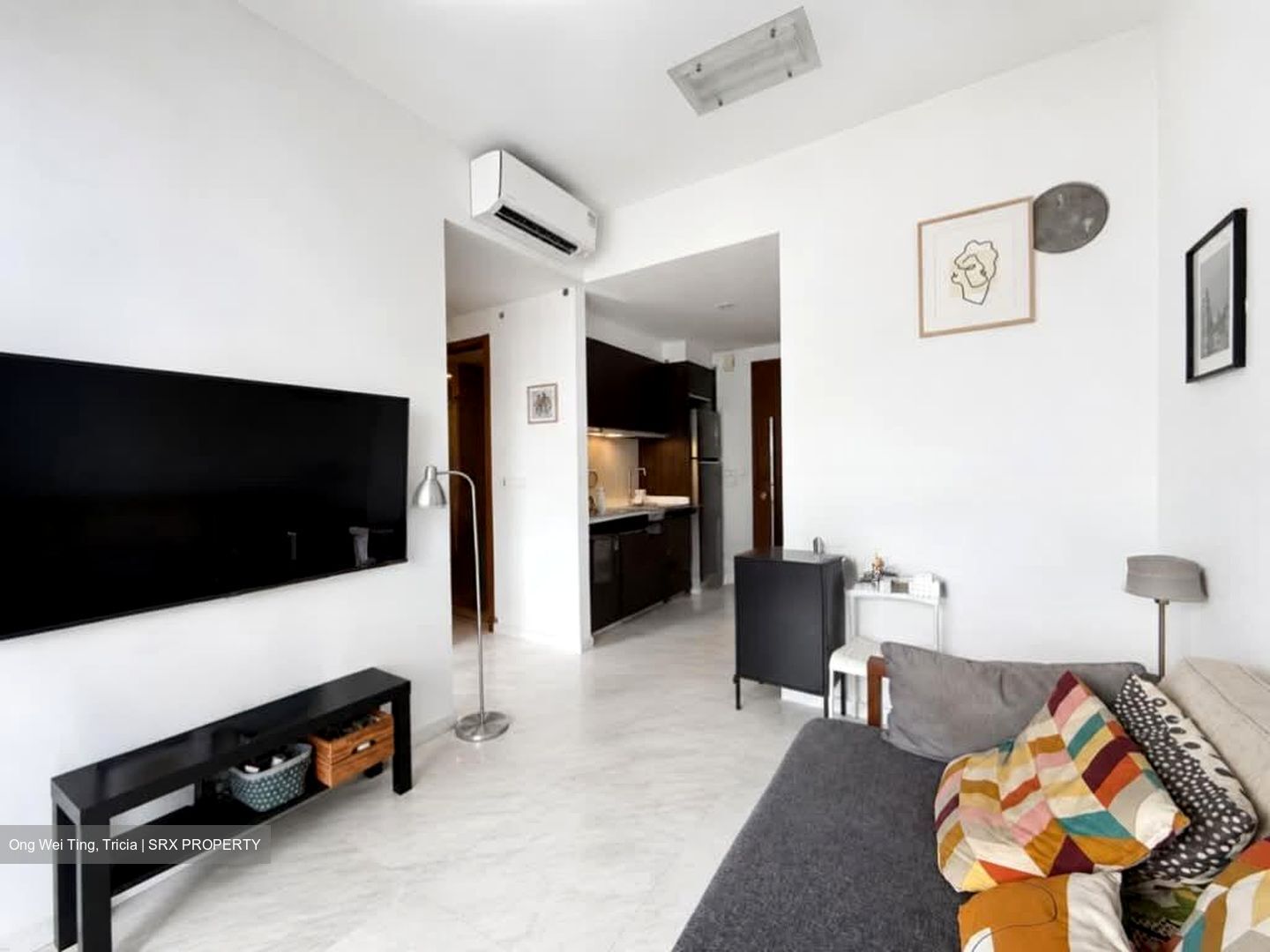 Spottiswoode 18 (D2), Apartment #588197091
